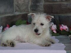 Photo4 for Maggie