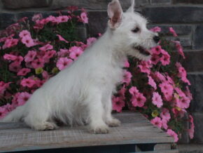 Photo of Maggie