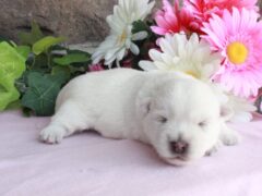 Photo1 for Luna
