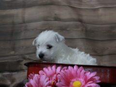 Photo3 for Lexy