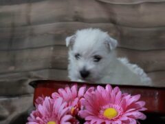 Photo2 for Lexy