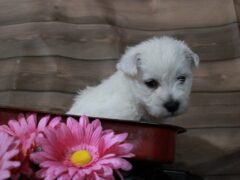 Photo1 for Lexy