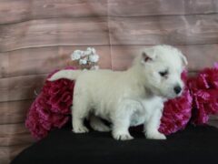 Photo3 for Lexy