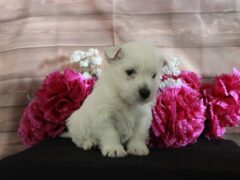 Photo1 for Lexy