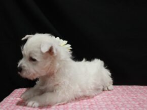 Photo of Lexy