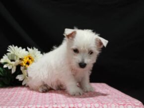 Photo of Lexy